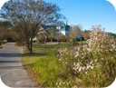 Winding RIver Plantation Real Estate, Homes, Lots